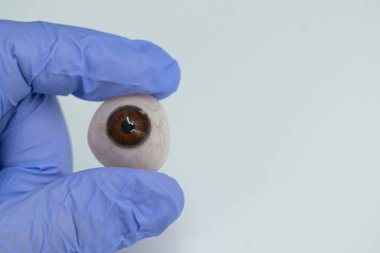 Eldivenli el nazikçe gerçekçi protez göz, gösterişli okülarist ve yapay göz nakli