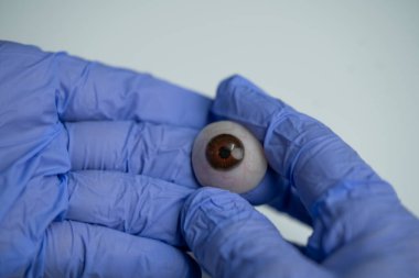 Eldivenli eller, gerçekçi kahverengi bir protez gözü dikkatlice tutarak bir göz doktorunun karmaşık çalışmalarını gözler önüne seriyor.