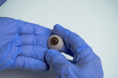 Eldivenli eller, kahverengi bir protez gözü dikkatle tutarak, göz işçiliğinin karmaşık detaylarını ve zanaatkarlığını gözler önüne seriyor.