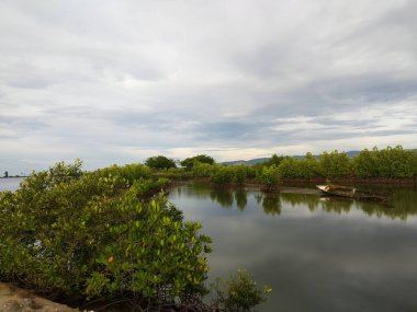Huzur Mangrove Peyzajı. Bereketli yeşil mangrovların bulunduğu sakin bir manzara, gökyüzünü yansıtan sakin bir su ve bulutlu bir gökyüzü. Suda küçük bir tekne görülebilir, huzur ve izolasyon duygusunu arttırır..