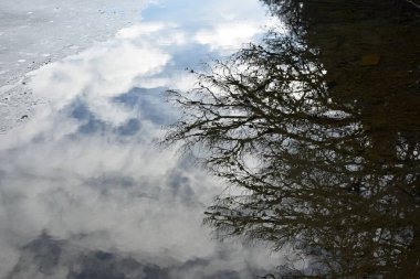 Dağlardaki dağ manzarası