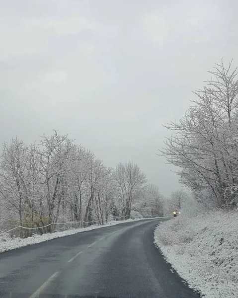 Eine Straße Durch Wald Und Bäume Einem Wintertag Foto Hoher — Stockfoto