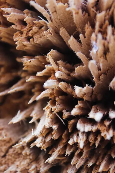 Yıpranmış ahşap dokunun soyut arkaplanı