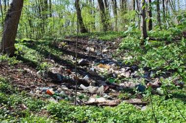 Ormanda plastik atık ve çöp.