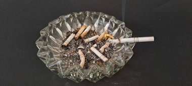 Sigara İzmaritleri ile Başıboş