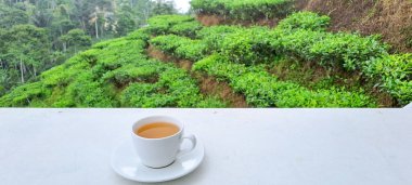 Beyaz arka planda izole sıcak çay Fincan