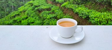 Beyaz arka planda izole sıcak çay Fincan