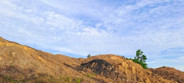 Kalimantan, Endonezya 'da yasa dışı kömür madenciliğinden arta kalan kurak topraklar