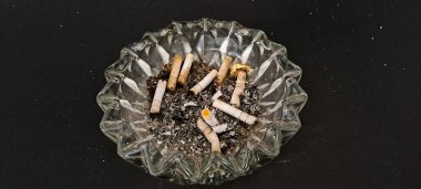 Sigara İzmaritleri ile Başıboş