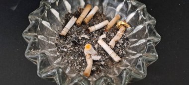 Sigara İzmaritleri ile Başıboş