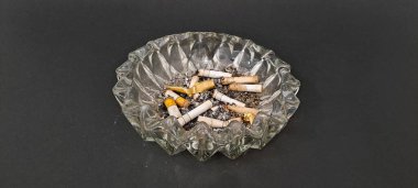 Sigara İzmaritleri ile Başıboş