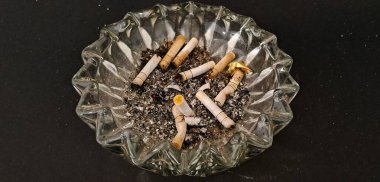 Sigara İzmaritleri ile Başıboş