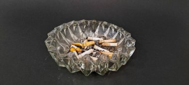 Sigara İzmaritleri ile Başıboş