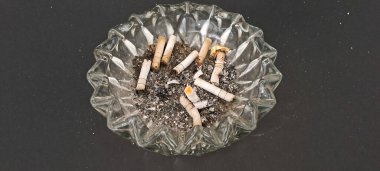 Sigara İzmaritleri ile Başıboş