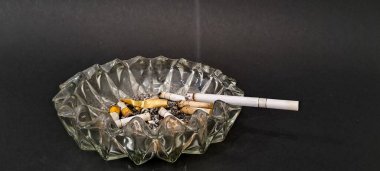 Sigara İzmaritleri ile Başıboş