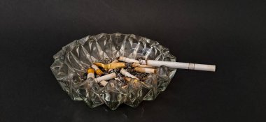 Sigara İzmaritleri ile Başıboş