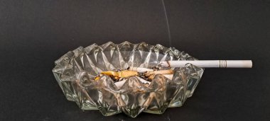 Sigara İzmaritleri ile Başıboş