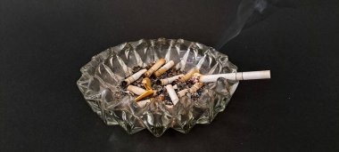 Sigara İzmaritleri ile Başıboş