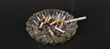 Sigara İzmaritleri ile Başıboş