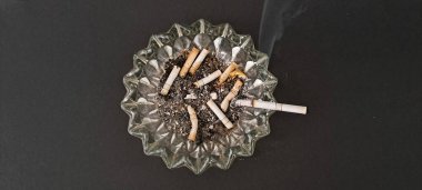 Sigara İzmaritleri ile Başıboş