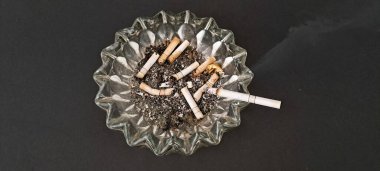 Sigara İzmaritleri ile Başıboş