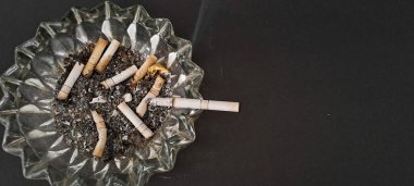 Sigara İzmaritleri ile Başıboş