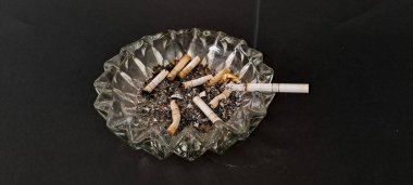 Sigara İzmaritleri ile Başıboş