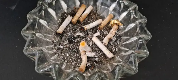 Sigara İzmaritleri ile Başıboş