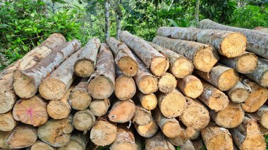 Doğal ahşap günlükleri yığını