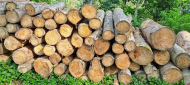 Doğal ahşap günlükleri yığını