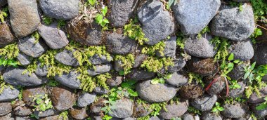 Küçük taş duvar arka plan dokusu