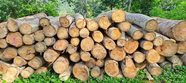 Doğal ahşap günlükleri yığını