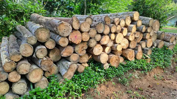 Doğal ahşap günlükleri yığını