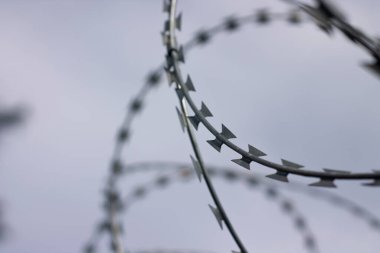 Dikenli tel. Dikenli tel çit mavi gökyüzü ile üzerinde