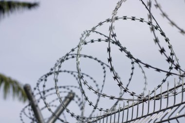 Dikenli tel. Dikenli tel çit mavi gökyüzü ile üzerinde