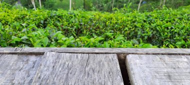 Çay yapraklı ahşap zemin