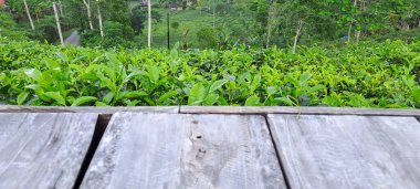 Çay yapraklı ahşap zemin