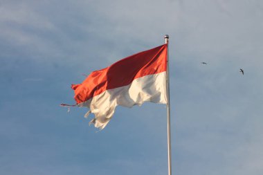 Indonesian Flag, The Red and white Flag, national symbol of Indonesia.