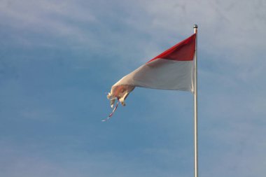 Indonesian Flag, The Red and white Flag, national symbol of Indonesia.
