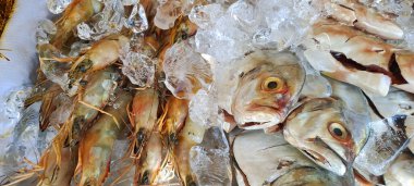 Markette buzlu taze deniz ürünleri.