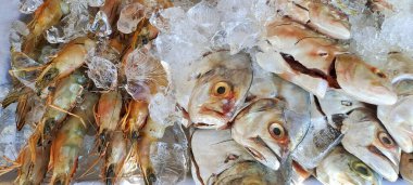 Markette buzlu taze deniz ürünleri.