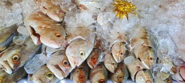 Markette buzlu taze deniz ürünleri.