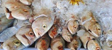 Markette buzlu taze deniz ürünleri.