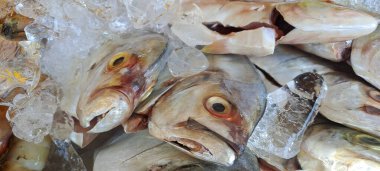 Markette buzlu taze deniz ürünleri.