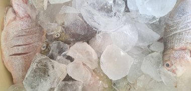 Markette buzlu taze deniz ürünleri.