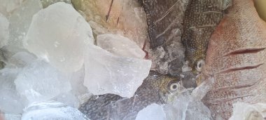 Markette buzlu taze deniz ürünleri.