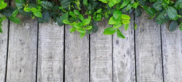 Çay yapraklı ahşap zemin