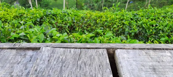 Çay yapraklı ahşap zemin