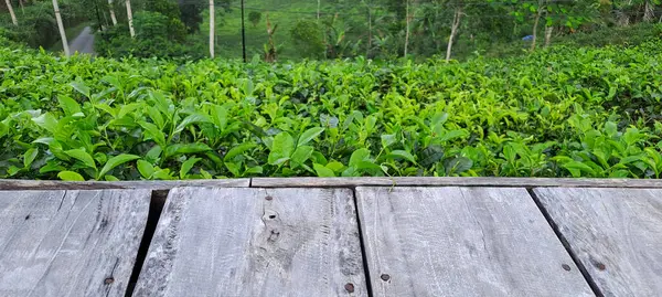 Çay yapraklı ahşap zemin