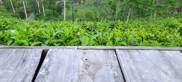 Çay yapraklı ahşap zemin